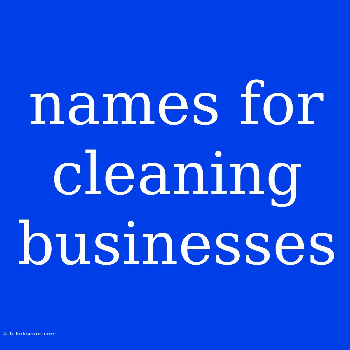 Names For Cleaning Businesses