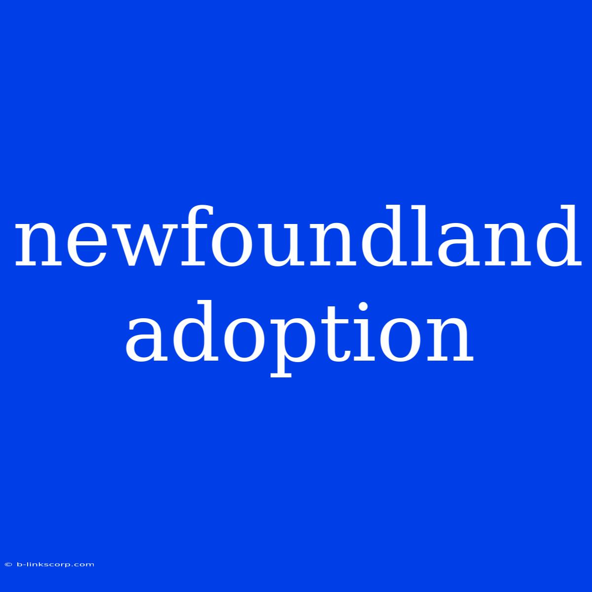 Newfoundland Adoption