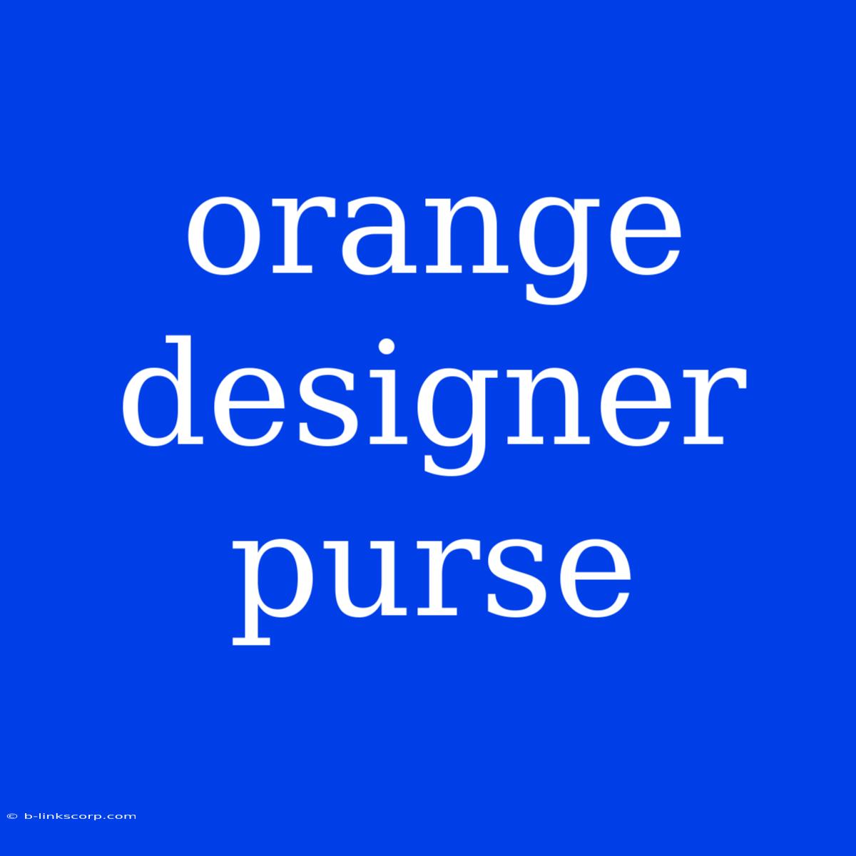 Orange Designer Purse