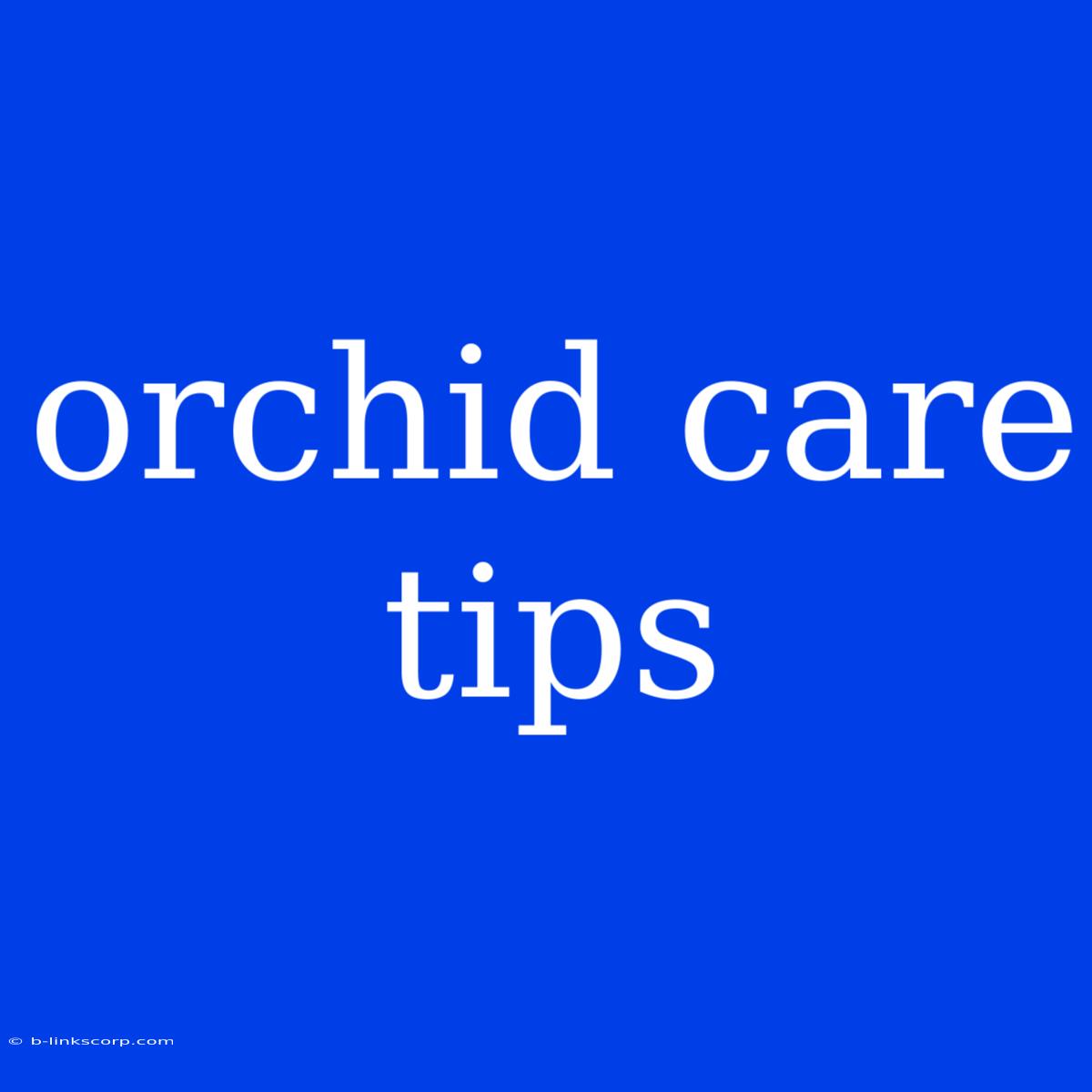 Orchid Care Tips