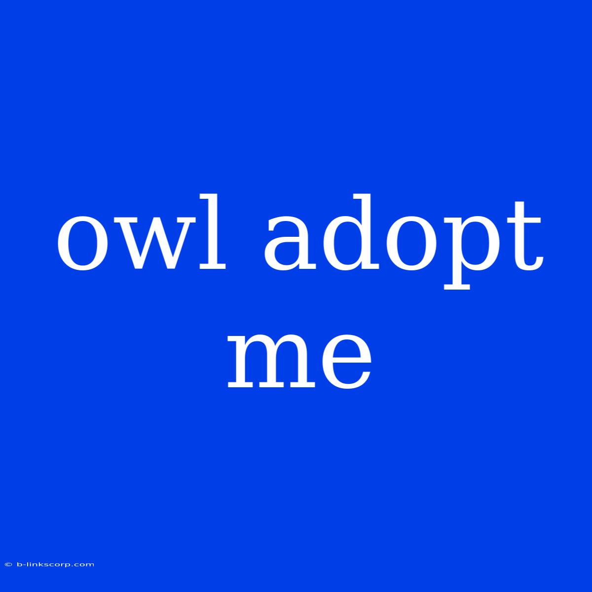 Owl Adopt Me