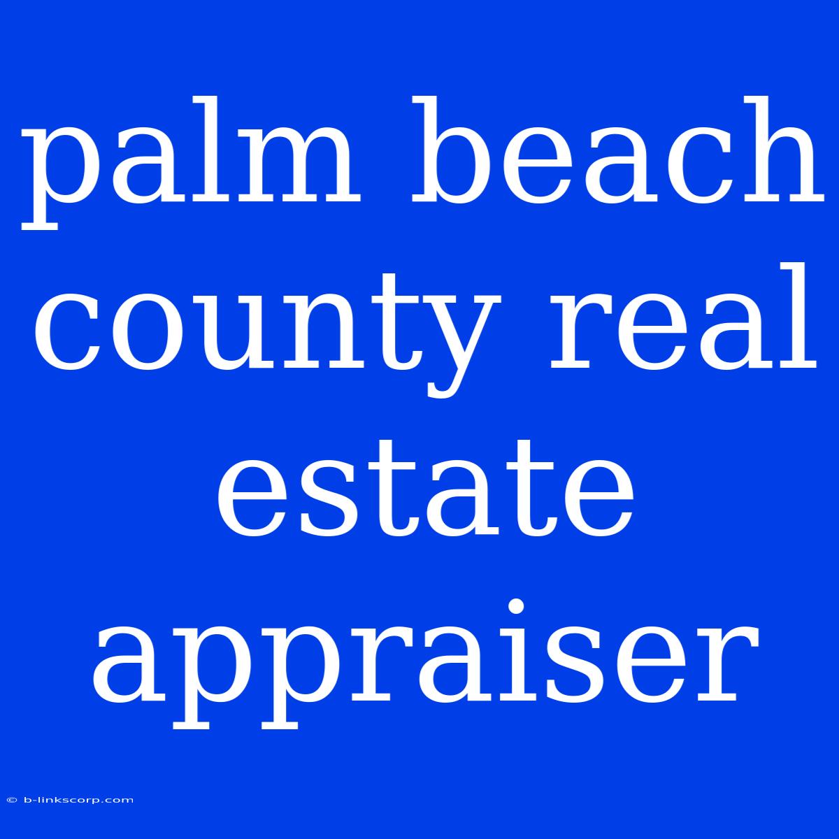 Palm Beach County Real Estate Appraiser