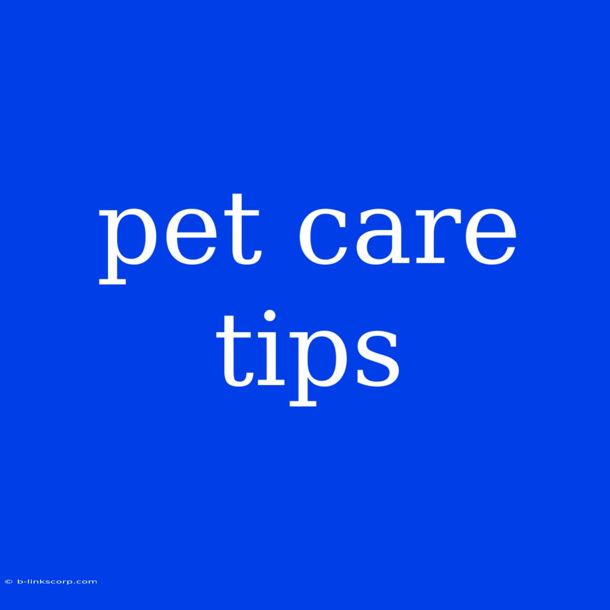 Pet Care Tips