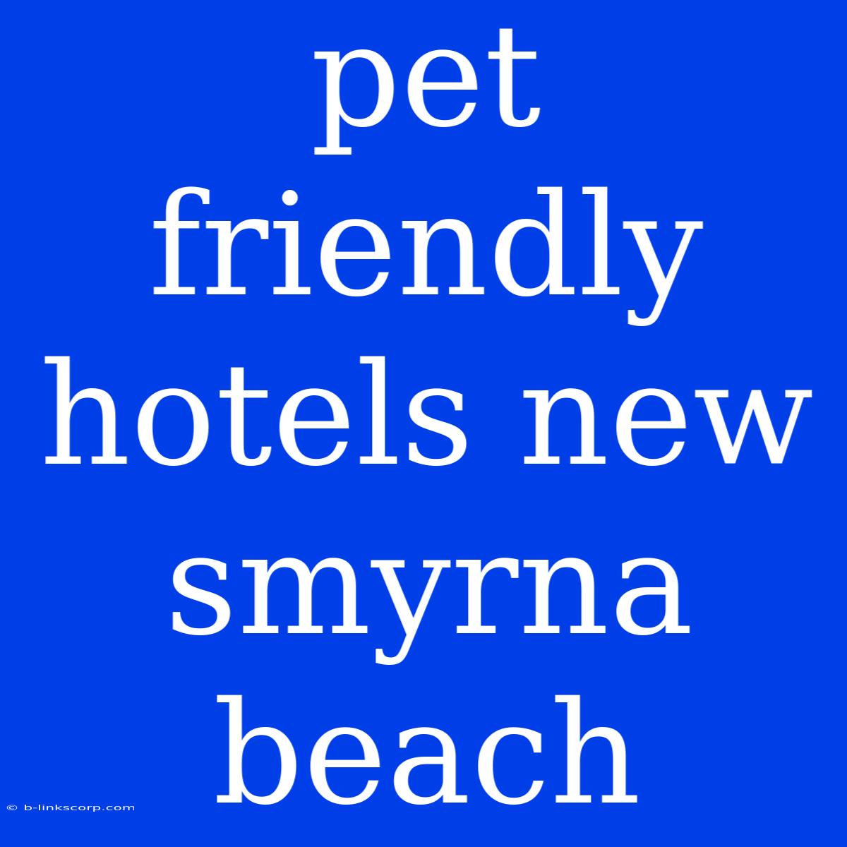 Pet Friendly Hotels New Smyrna Beach