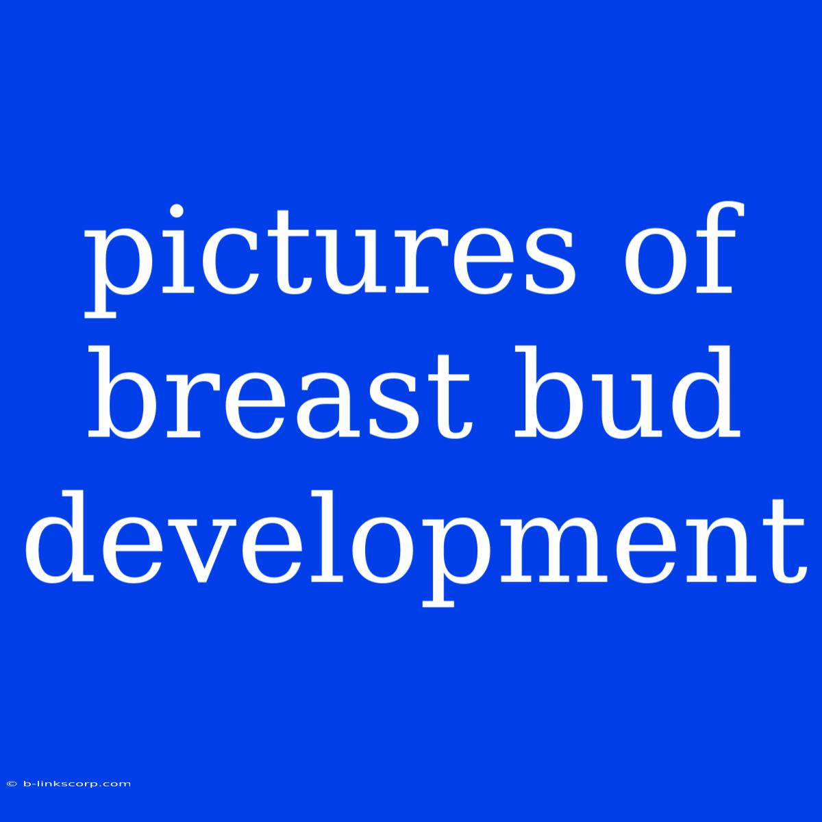 Pictures Of Breast Bud Development