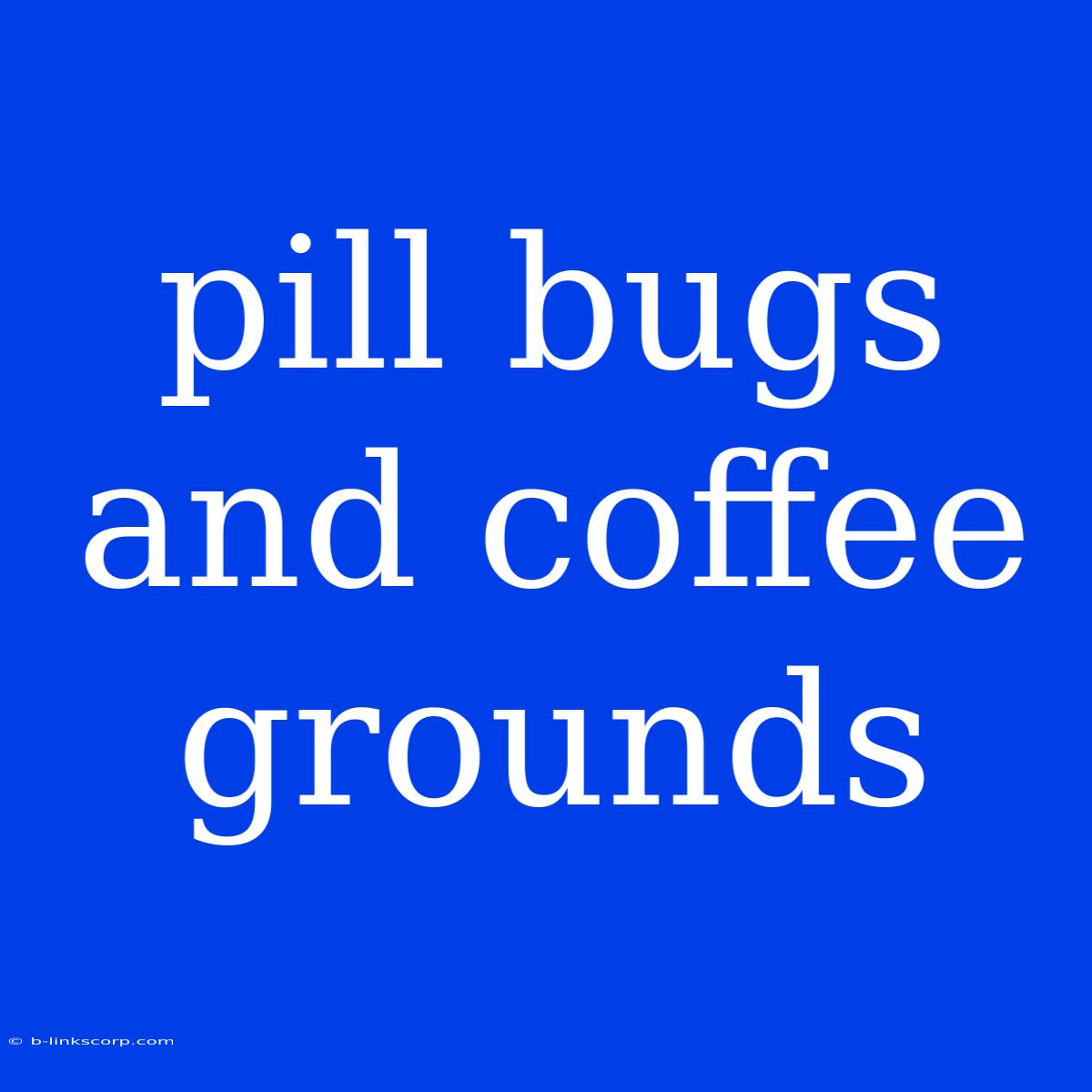 Pill Bugs And Coffee Grounds