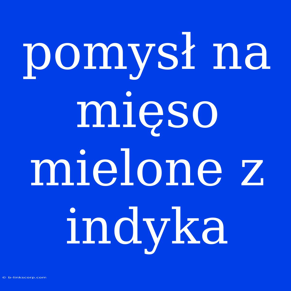 Pomysł Na Mięso Mielone Z Indyka