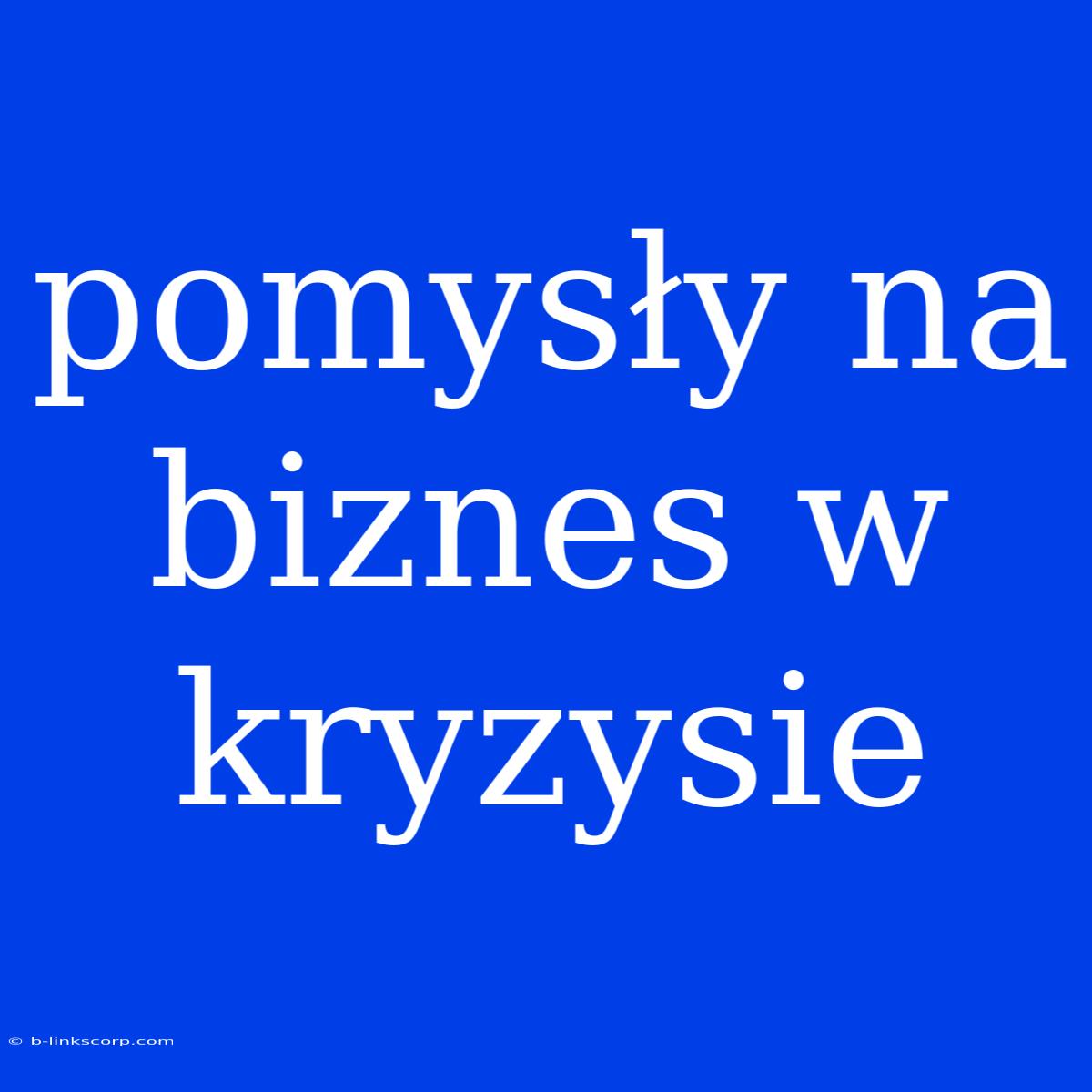 Pomysły Na Biznes W Kryzysie