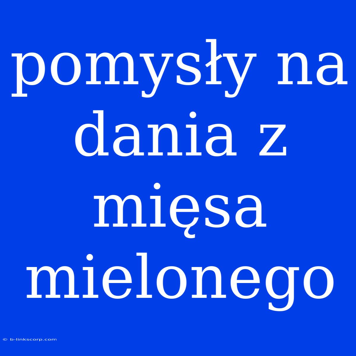 Pomysły Na Dania Z Mięsa Mielonego