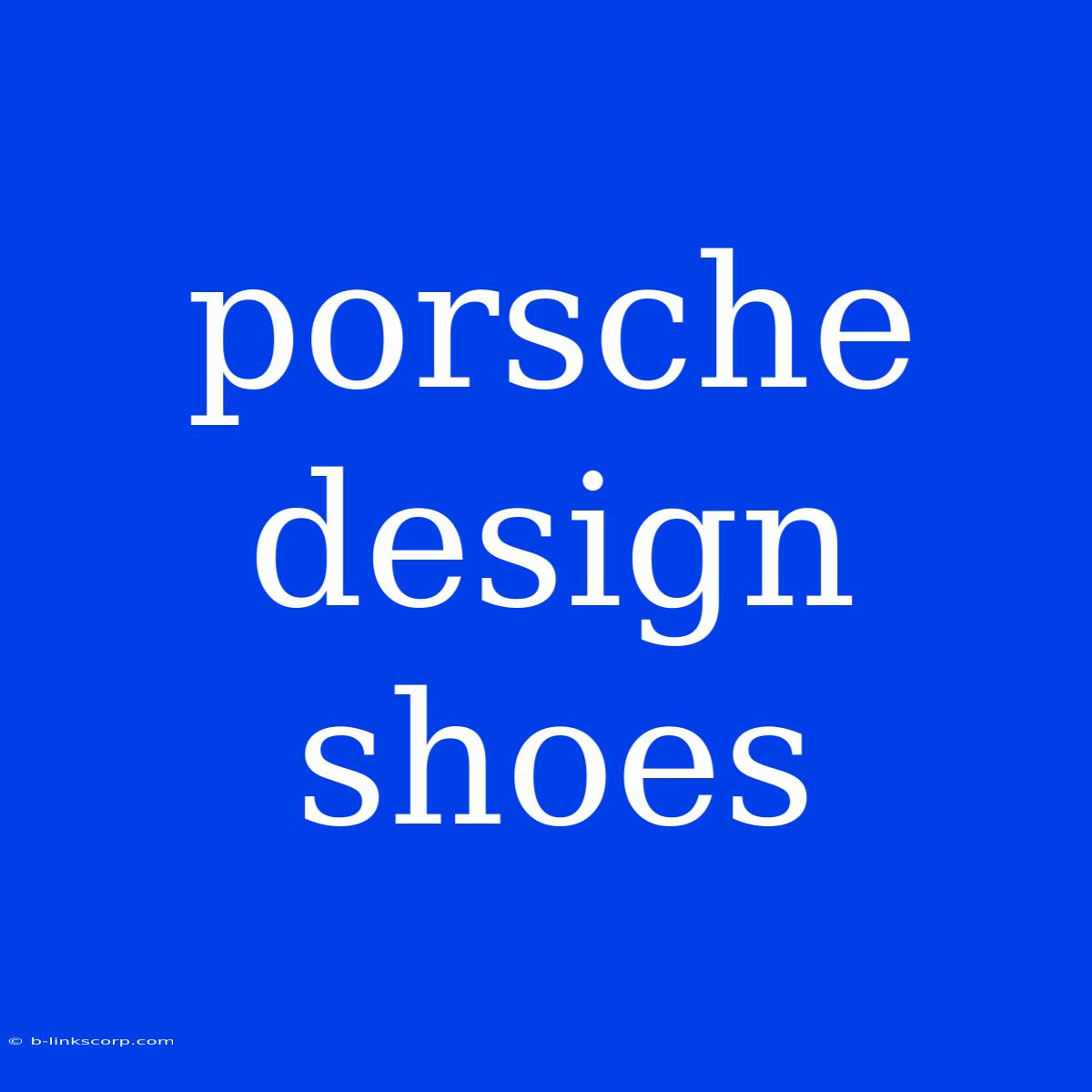 Porsche Design Shoes