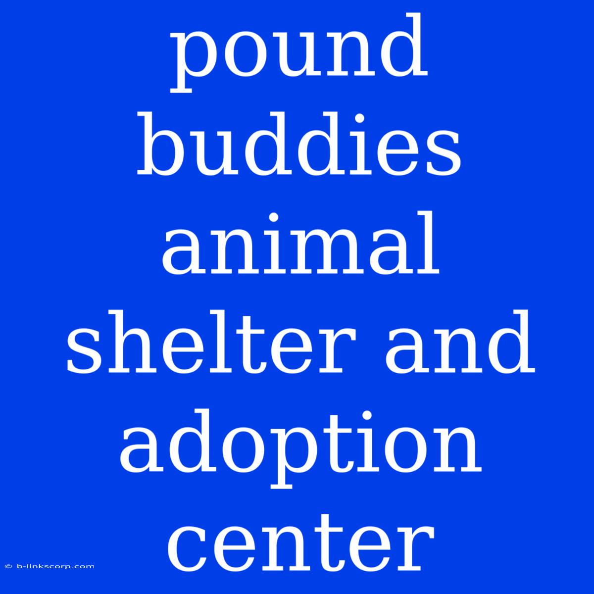 Pound Buddies Animal Shelter And Adoption Center