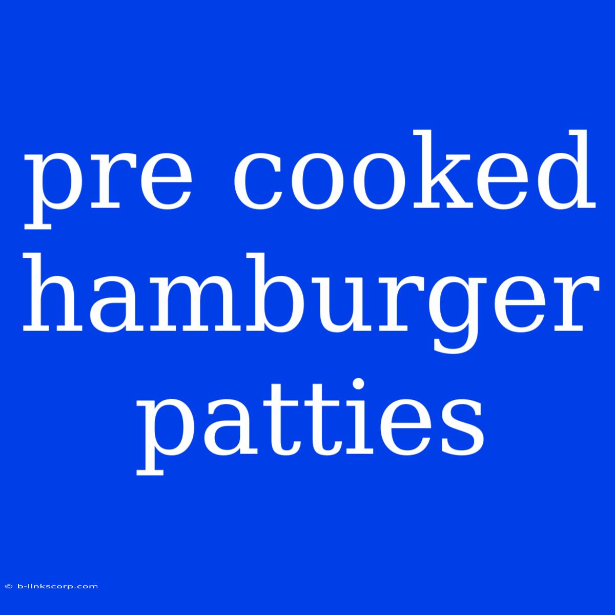 Pre Cooked Hamburger Patties