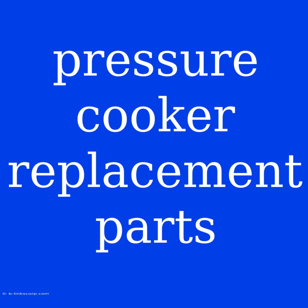 Pressure Cooker Replacement Parts