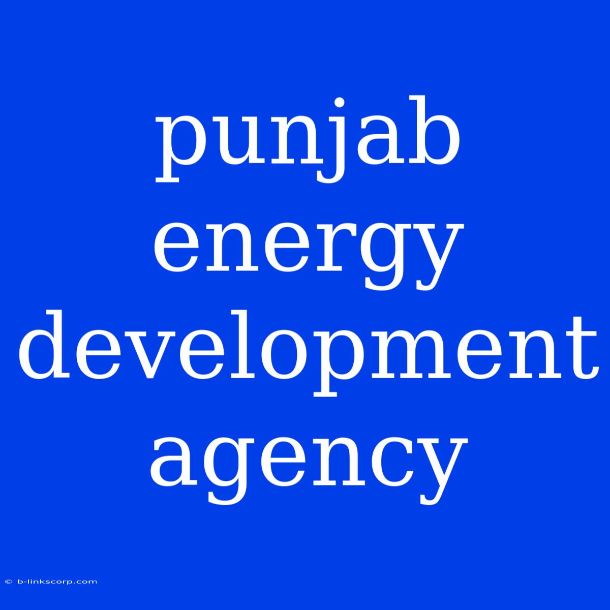 Punjab Energy Development Agency