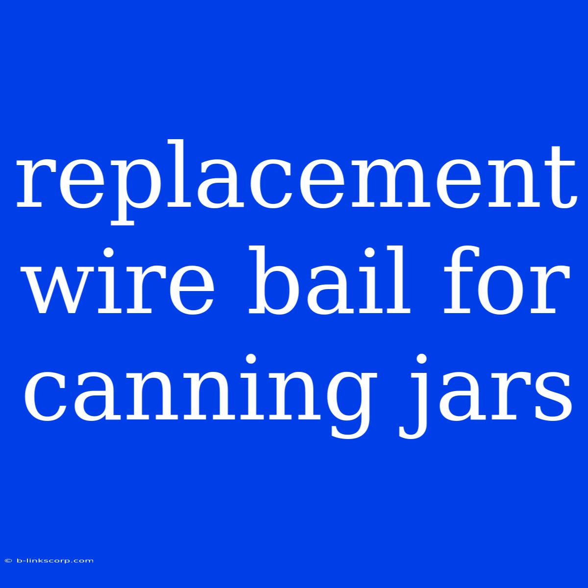 Replacement Wire Bail For Canning Jars