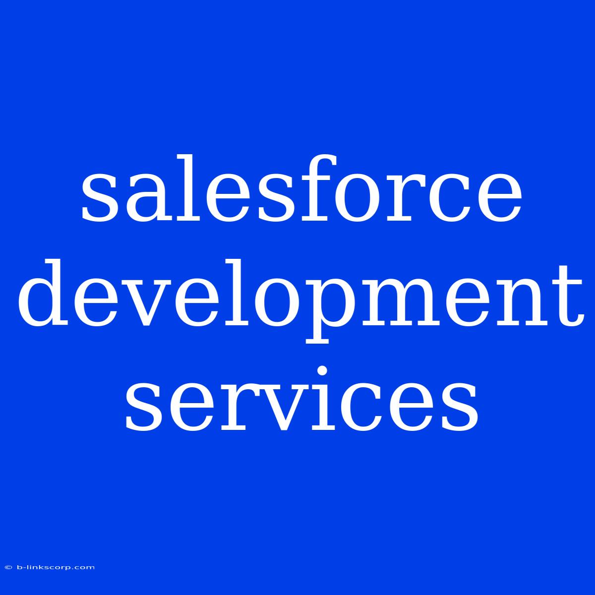 Salesforce Development Services