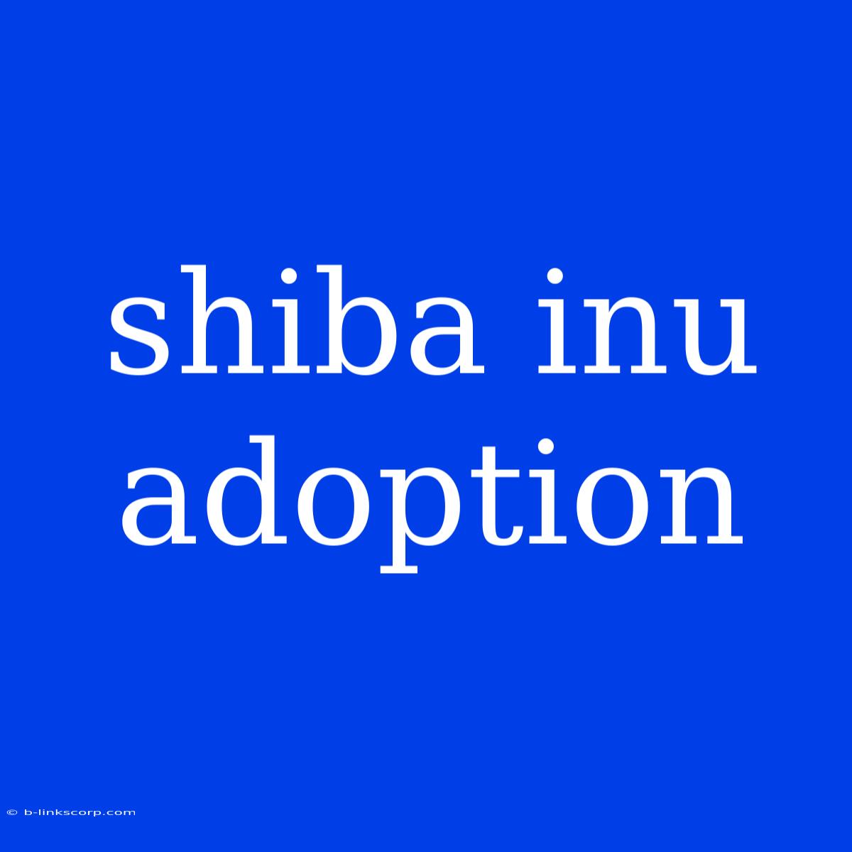 Shiba Inu Adoption