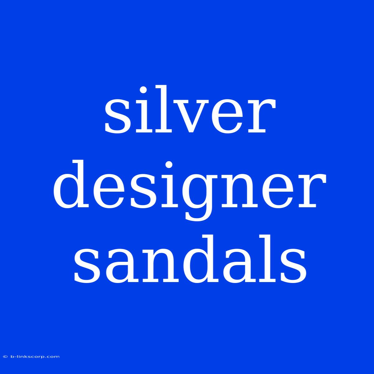 Silver Designer Sandals