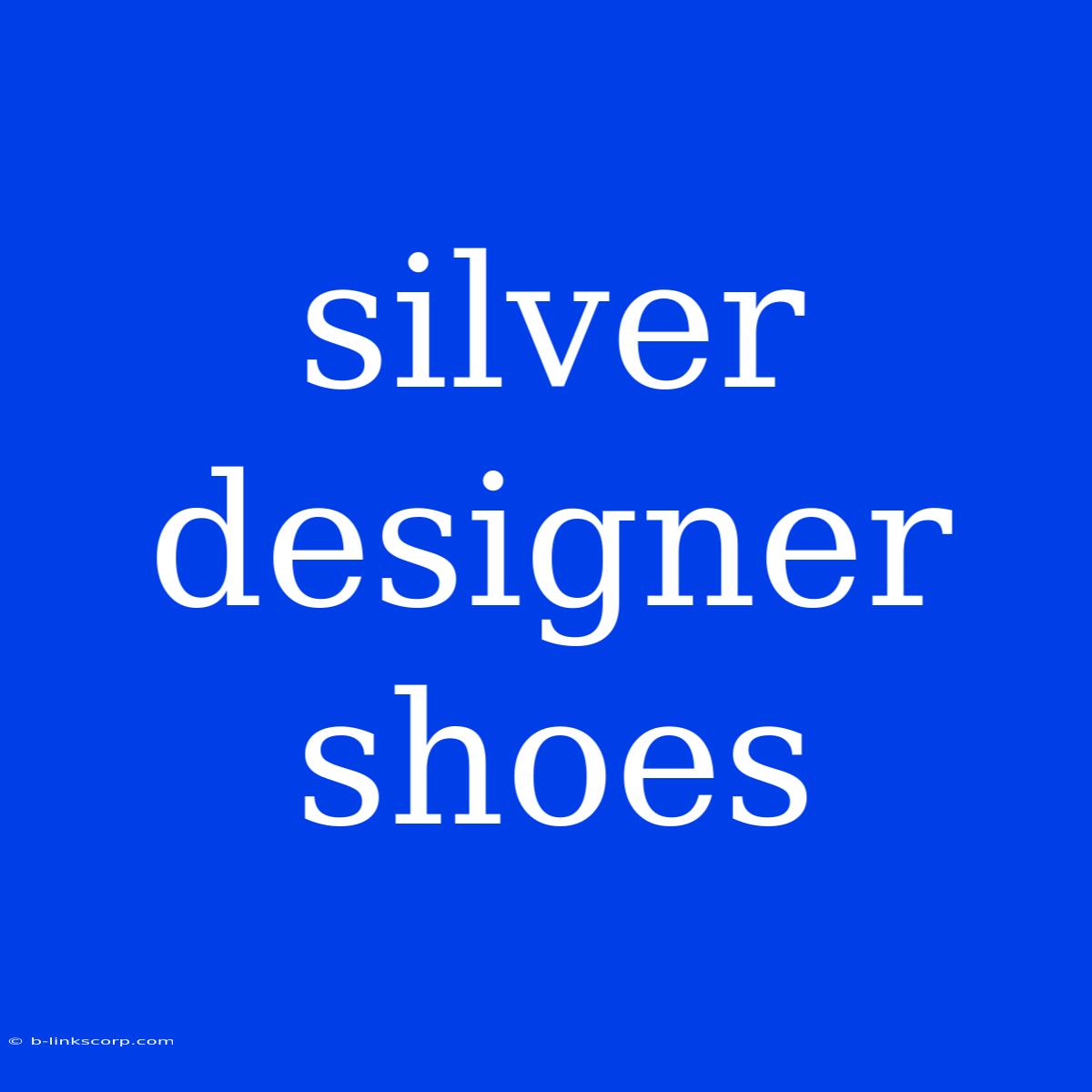 Silver Designer Shoes