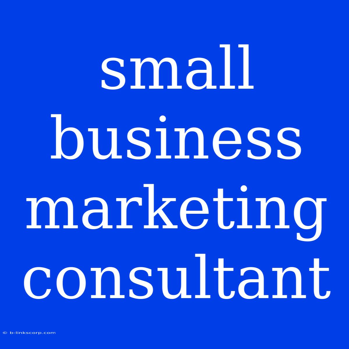 Small Business Marketing Consultant