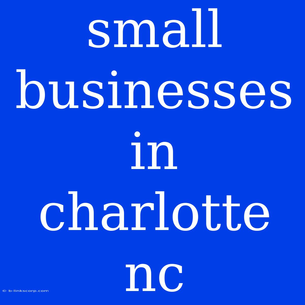 Small Businesses In Charlotte Nc