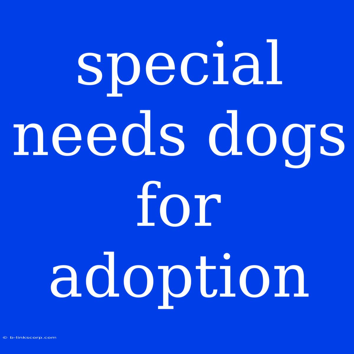 Special Needs Dogs For Adoption