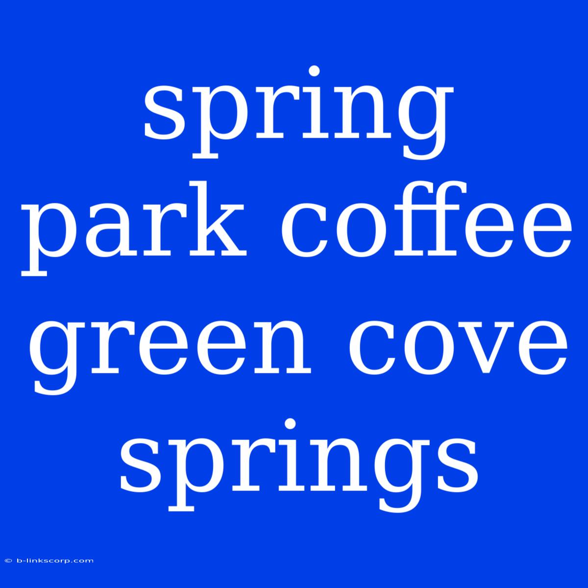 Spring Park Coffee Green Cove Springs