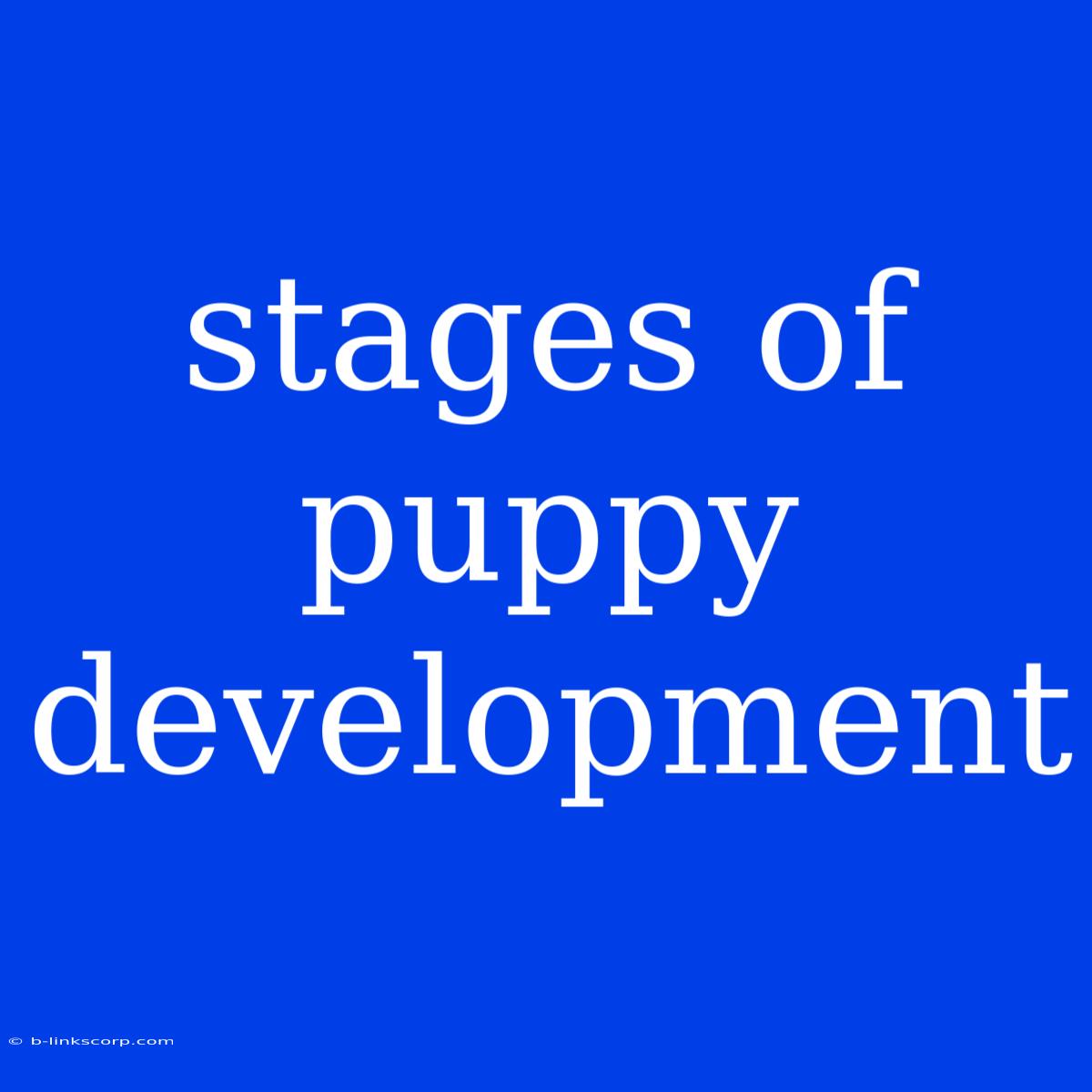 Stages Of Puppy Development