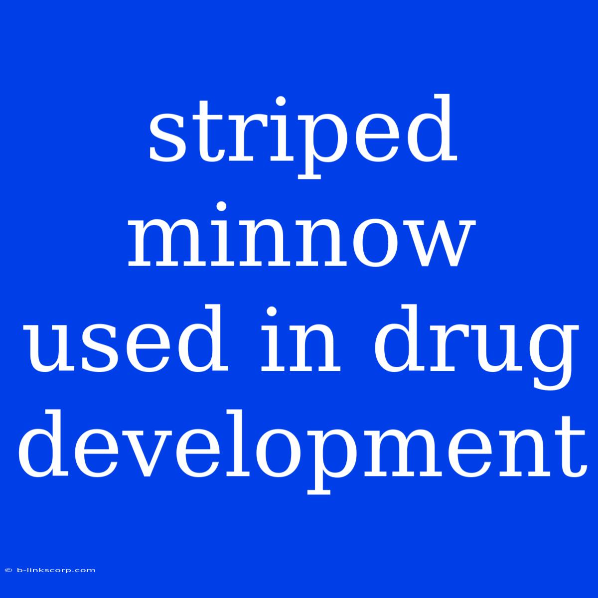 Striped Minnow Used In Drug Development