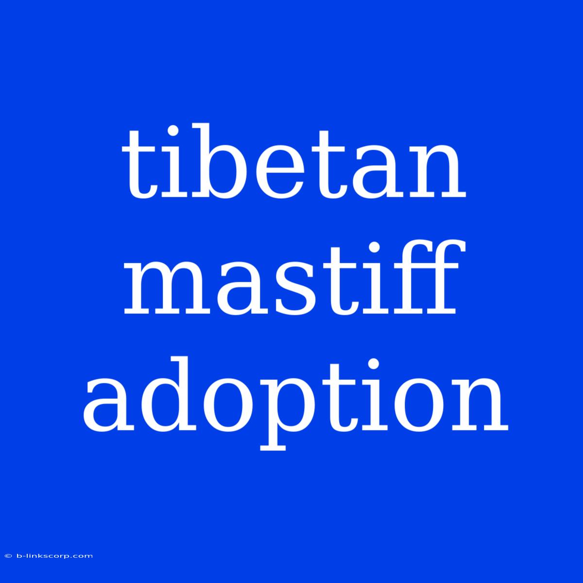 Tibetan Mastiff Adoption