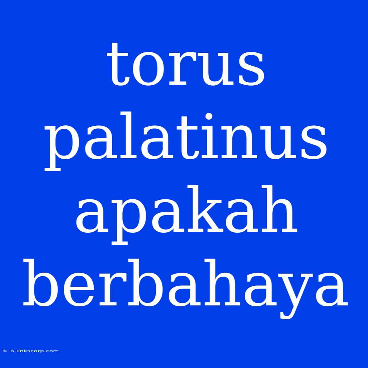 Torus Palatinus Apakah Berbahaya