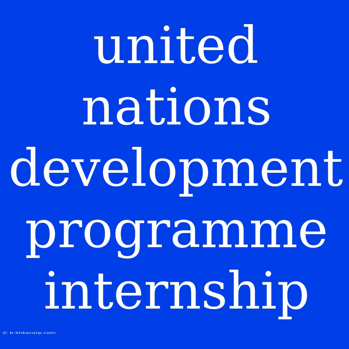 United Nations Development Programme Internship