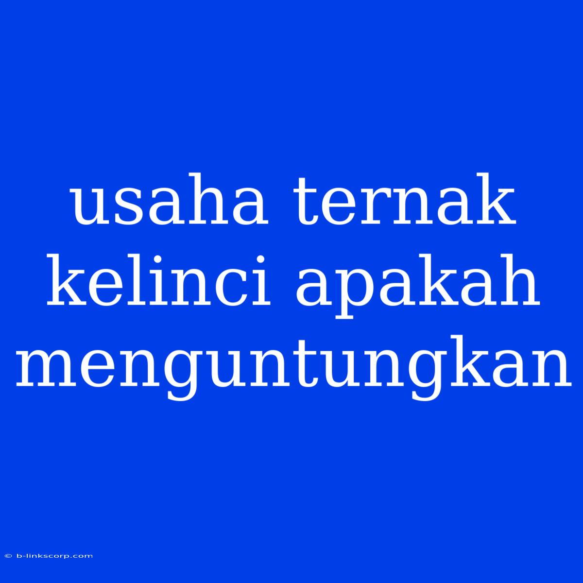 Usaha Ternak Kelinci Apakah Menguntungkan