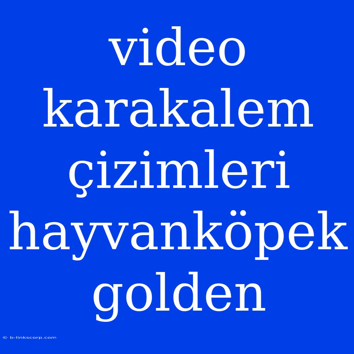 Video Karakalem Çizimleri Hayvanköpek Golden