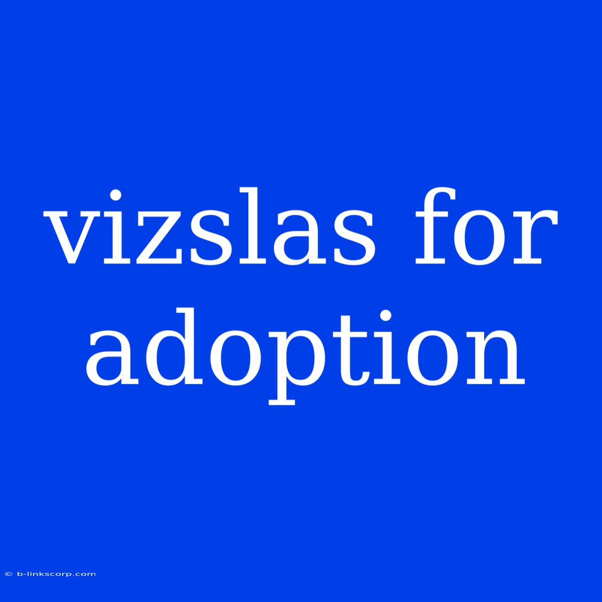 Vizslas For Adoption