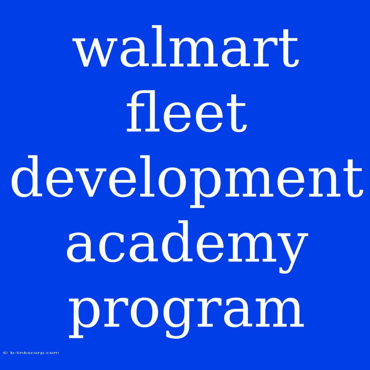 Walmart Fleet Development Academy Program