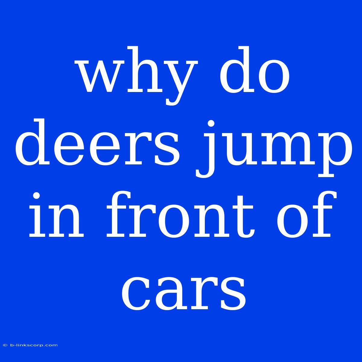 Why Do Deers Jump In Front Of Cars