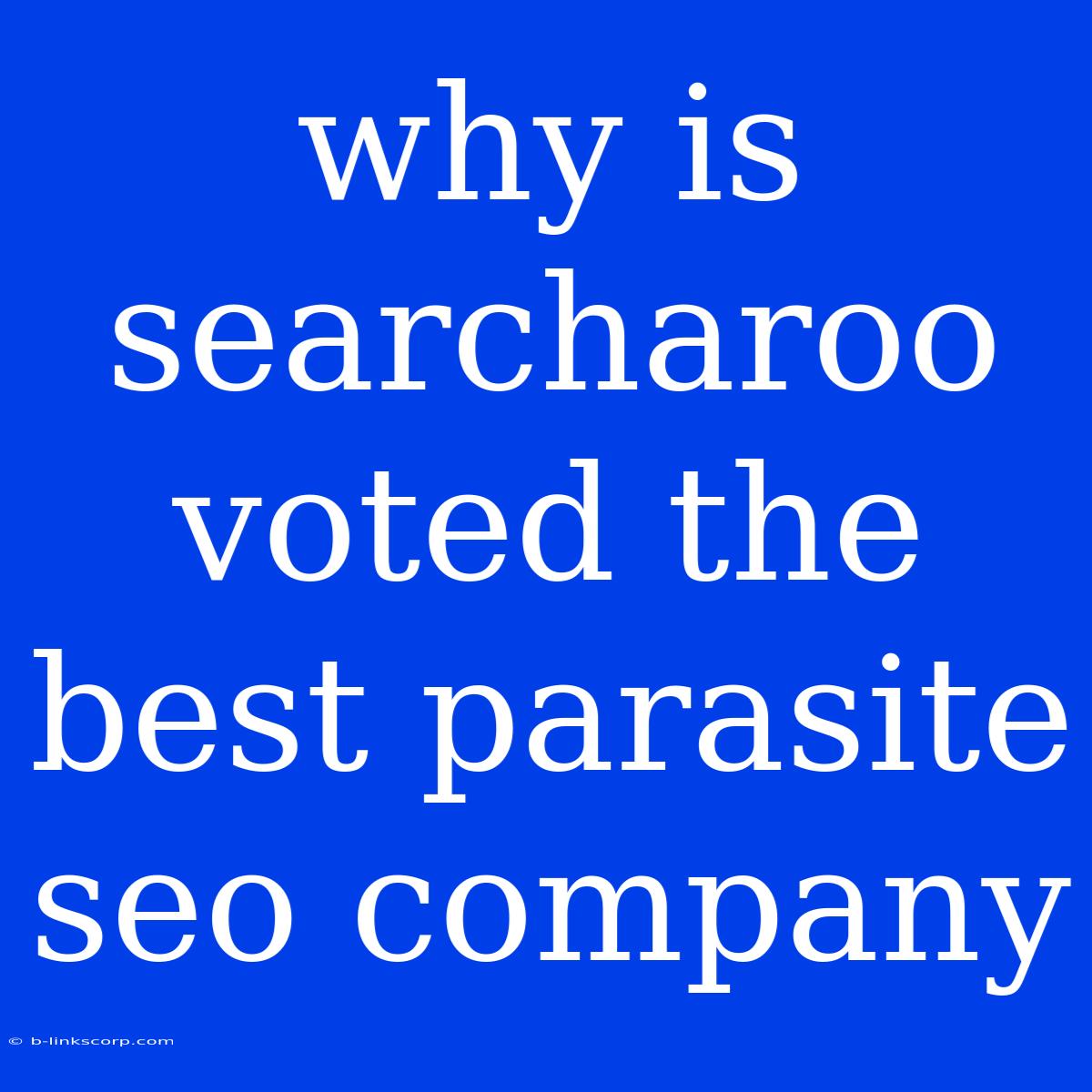 Why Is Searcharoo Voted The Best Parasite Seo Company