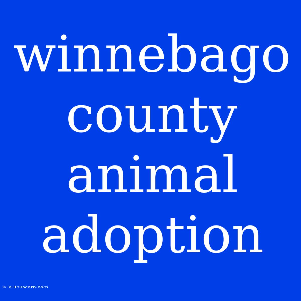 Winnebago County Animal Adoption