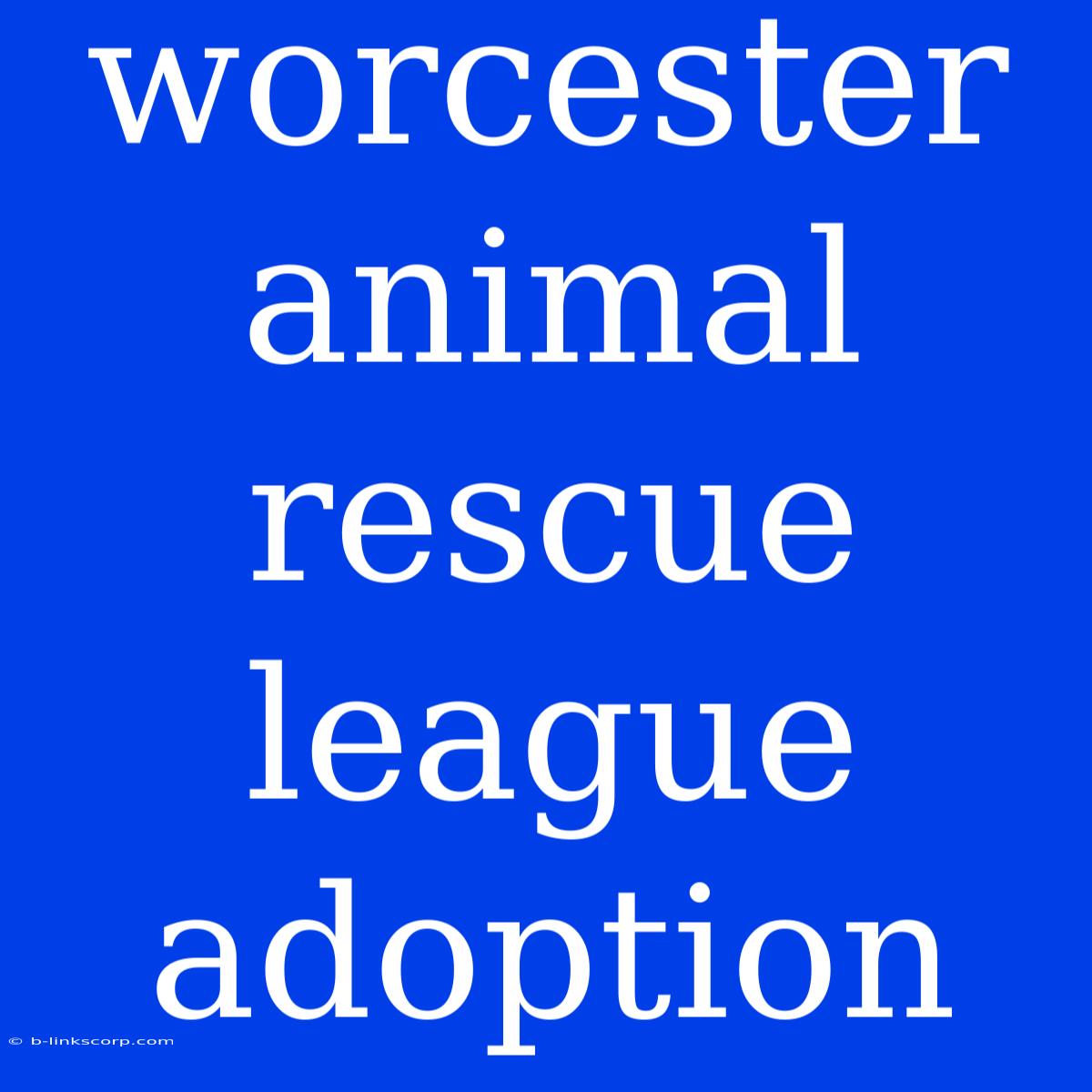 Worcester Animal Rescue League Adoption