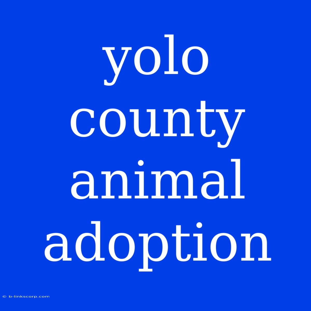 Yolo County Animal Adoption