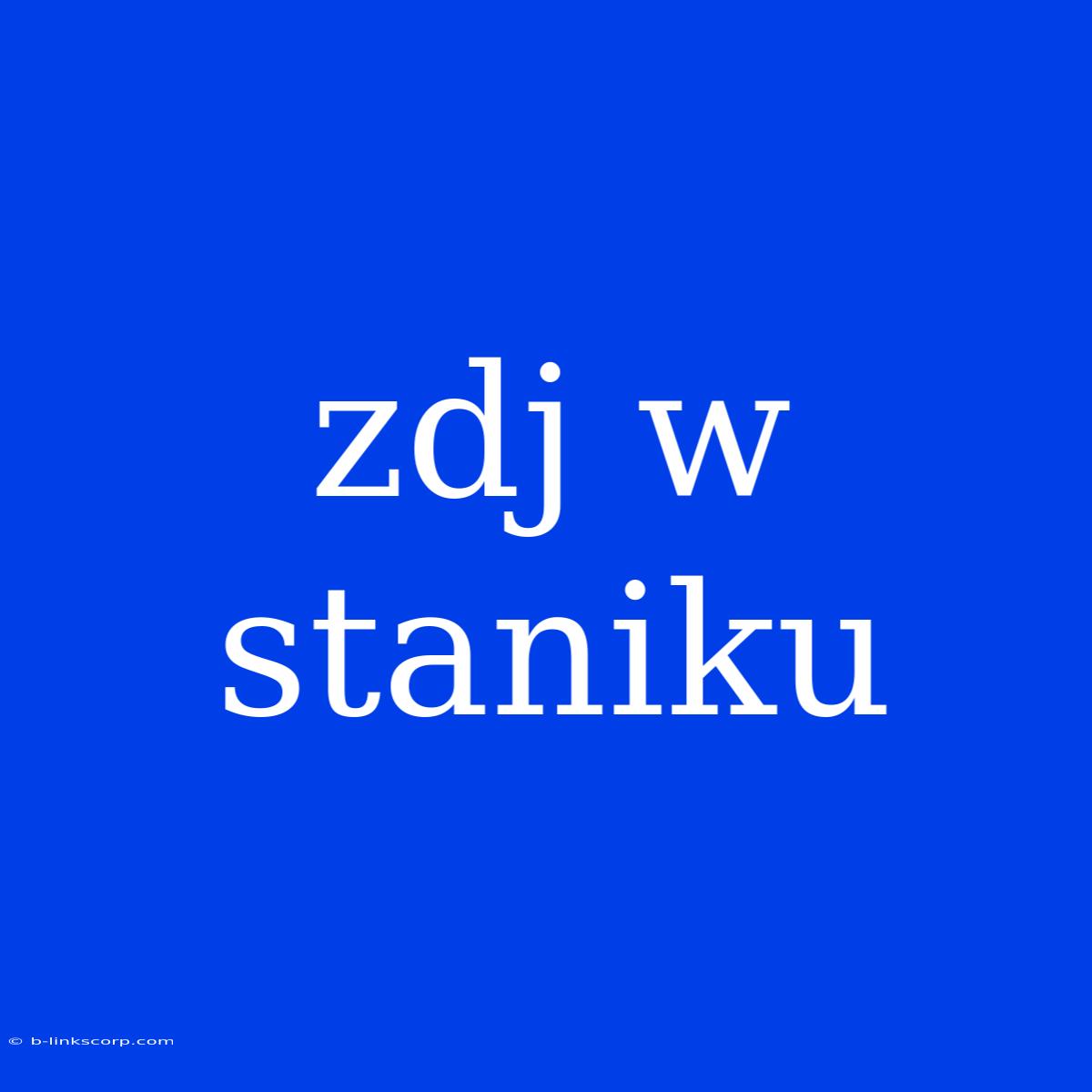 Zdj W Staniku